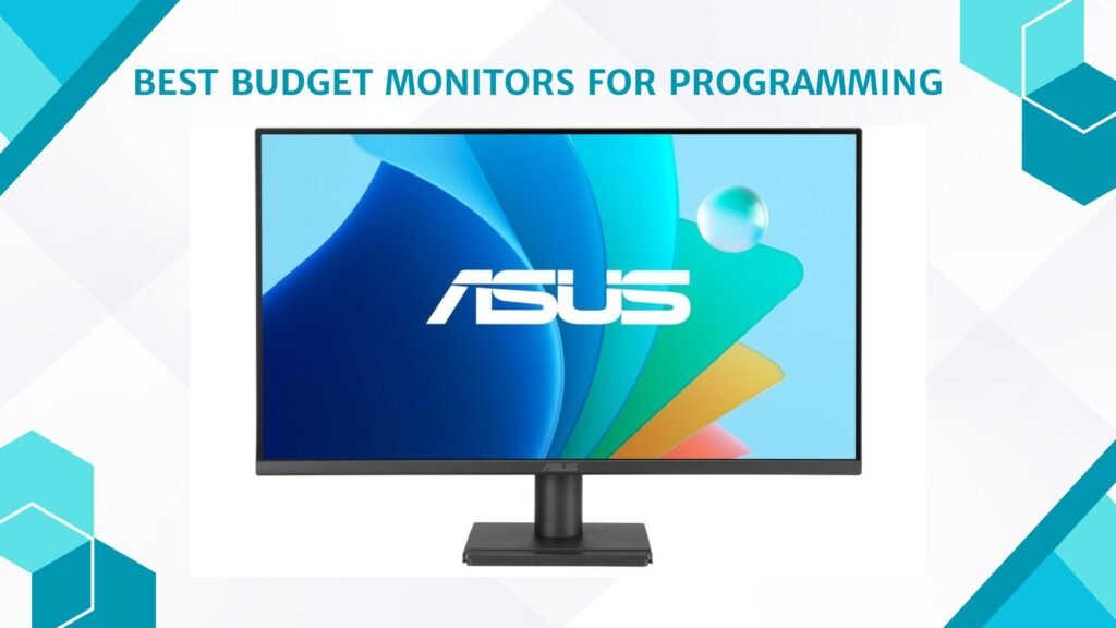 Best Budget Monitors for Programming
